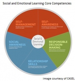 Social Emotional Learning pie chart breakdown